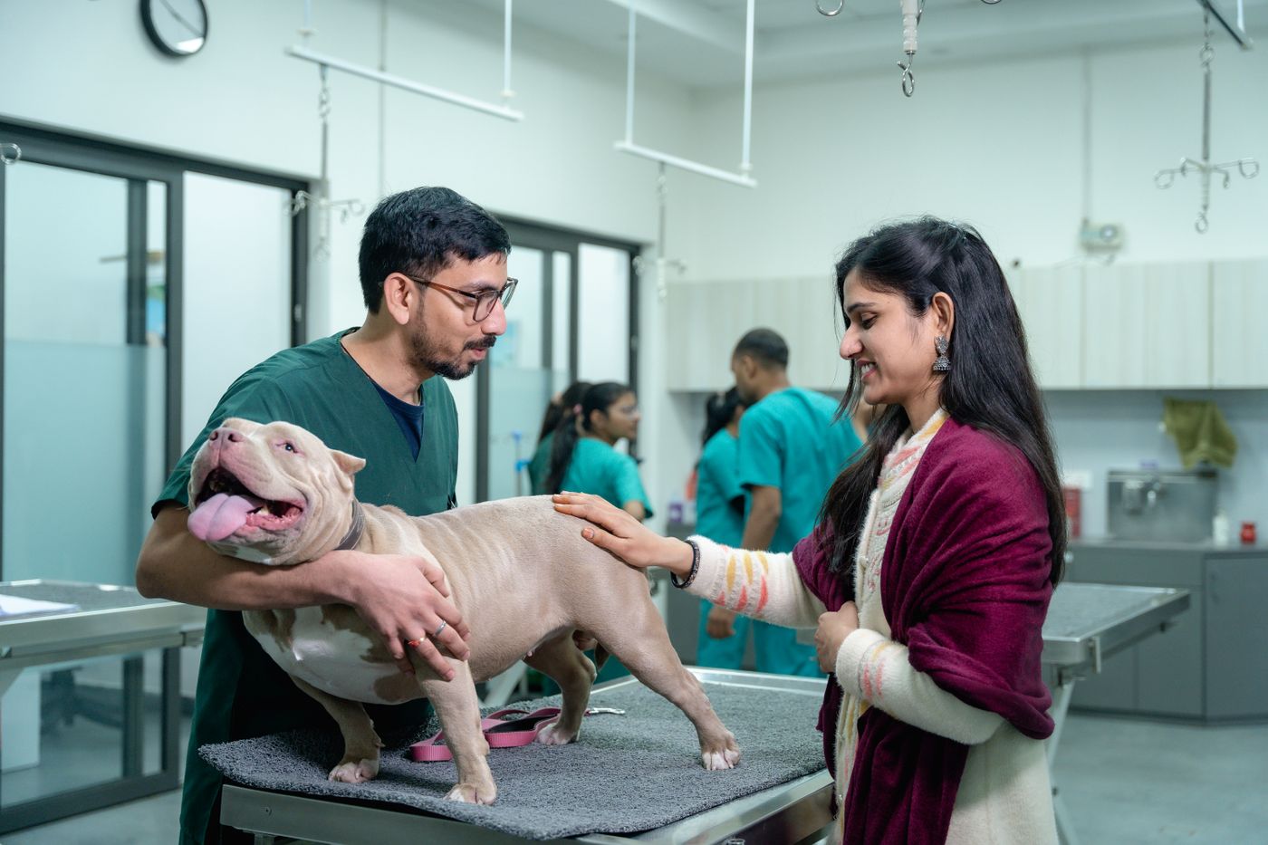 Veterinario revisando a un perro