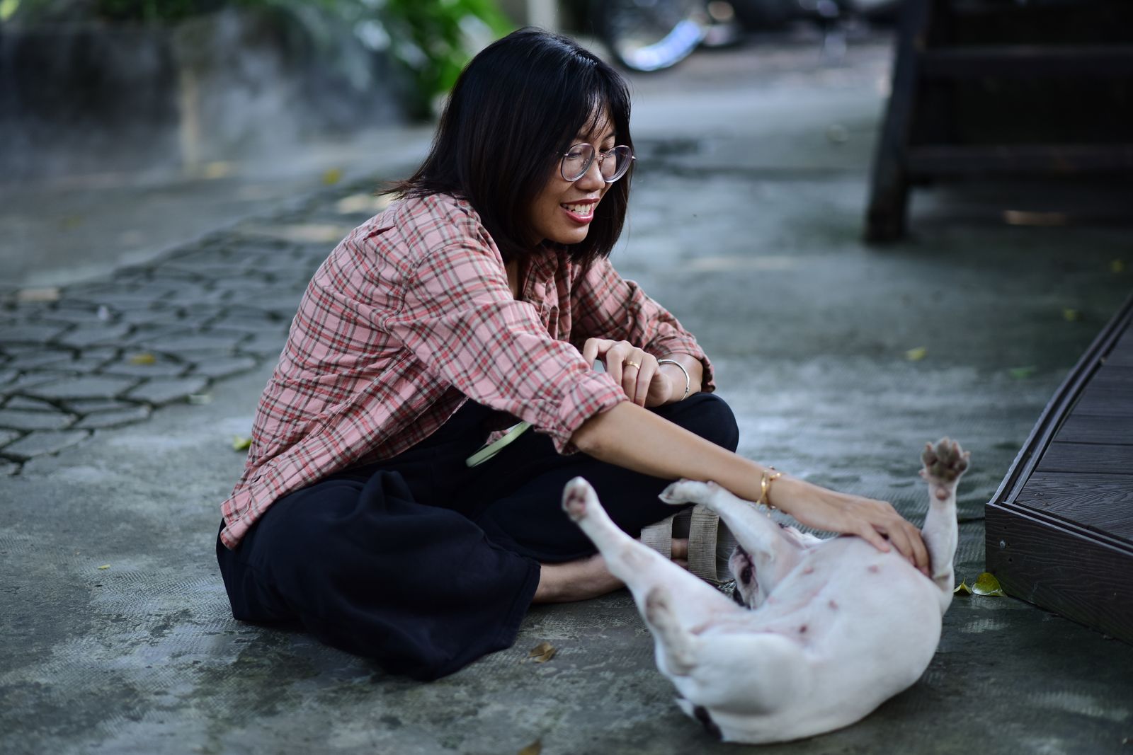 Mujer jugando con su perro en un parque